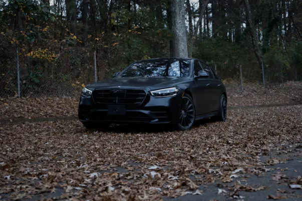 카지노 샹그리 라 라이브 안드로이드/iOS 앱